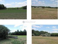 Eladó mezogazdasagi ingatlan, Lajosmizsén 300 M Ft