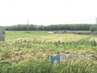 Eladó mezogazdasagi ingatlan, Alsópáhokon 15.9 M Ft