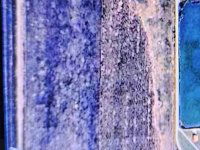 Eladó mezogazdasagi ingatlan