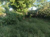 Eladó családi ház, Salgótarjánban, Aknász úton 10 M Ft