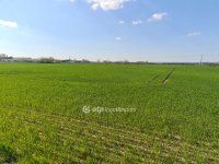 Eladó mezogazdasagi ingatlan, Szigetszentmiklóson 99.9 M Ft