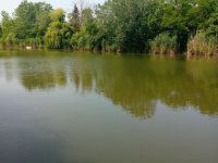 Eladó telek, Gyomaendrődön 7.9 M Ft / költözzbe.hu