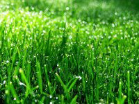 Eladó mezogazdasagi ingatlan, Zalacsányon 12.5 M Ft