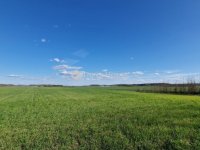 Eladó mezogazdasagi ingatlan, Sülysápon 40.5 M Ft