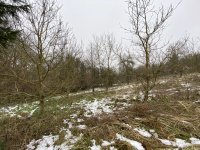 Eladó telek, Homokkomáromon 5.5 M Ft / költözzbe.hu