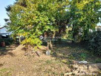 Eladó telek, Mogyoródon 60 M Ft / költözzbe.hu