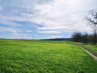 Eladó mezogazdasagi ingatlan, Mogyoródon 218 M Ft