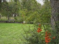 Eladó családi ház, Vácon 44.9 M Ft, 1 szobás