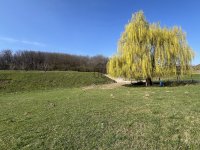 Eladó telek, Szekszárdon 32.5 M Ft / költözzbe.hu