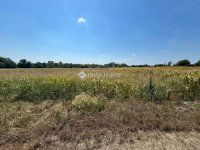 Eladó telek, Pátkán 4.5 M Ft / költözzbe.hu