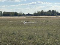 Eladó mezogazdasagi ingatlan, Orgoványon 79.9 M Ft, 3 szobás