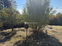 Eladó családi ház, Pécsett 99.9 M Ft, 1 szobás