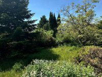 Eladó telek, Szentendrén 80 M Ft / költözzbe.hu