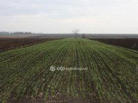 Eladó mezogazdasagi ingatlan, XXIII. kerületben 2.8 M Ft