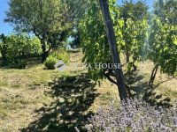 Eladó mezogazdasagi ingatlan, Gyódon 5 M Ft / költözzbe.hu