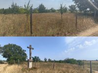 Eladó mezogazdasagi ingatlan, Nagykónyin 4.6 M Ft