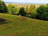 Eladó telek, Zalaegerszegen 19 M Ft / költözzbe.hu