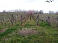 Eladó telek, Romándon 11.9 M Ft / költözzbe.hu