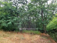 Eladó mezogazdasagi ingatlan