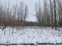 Eladó mezogazdasagi ingatlan, Cegléden 1 M Ft