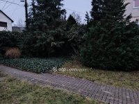 Eladó téglalakás, Solymáron 109 M Ft, 3 szobás