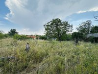 Eladó mezogazdasagi ingatlan, Szentendrén 14.9 M Ft