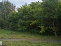 Eladó telek, Kaposfőn 5.5 M Ft / költözzbe.hu