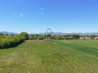 Eladó mezogazdasagi ingatlan, Dunakeszin 65 M Ft