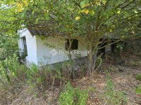 Eladó mezogazdasagi ingatlan