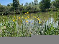 Eladó nyaraló, Dunaharasztin 51.9 M Ft, 1+1 szobás