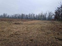 Eladó mezogazdasagi ingatlan, Lovasberényben 5.9 M Ft