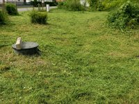 Eladó telek, Zalaszentgróton 9.75 M Ft / költözzbe.hu