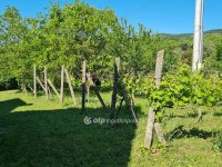 Eladó telek, Ábrahámhegyen 27.5 M Ft / költözzbe.hu