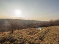 Eladó mezogazdasagi ingatlan, Miskolcon, Közdomb utcában 6.5 M Ft