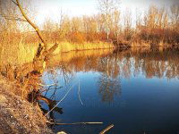 Eladó mezogazdasagi ingatlan, Károlyházán 62 M Ft