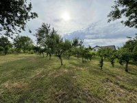 Eladó mezogazdasagi ingatlan, Etyeken 170 M Ft