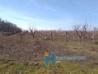 Eladó mezogazdasagi ingatlan