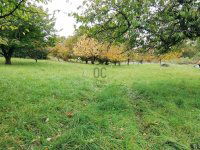 Eladó telek, Zalaegerszegen 10 M Ft / költözzbe.hu