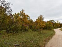 Eladó telek, Pécselyen 24.99 M Ft / költözzbe.hu