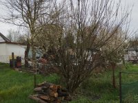 Eladó telek, Szegeden 24.5 M Ft / költözzbe.hu