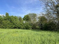 Eladó ipari ingatlan