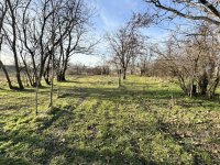 Eladó mezogazdasagi ingatlan, Kecskeméten 6.99 M Ft, 1 szobás