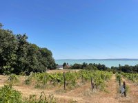 Eladó telek, Balatonszepezden 80 M Ft / költözzbe.hu