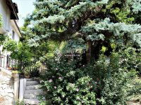 Eladó családi ház, II. kerületben 419 M Ft, 6 szobás