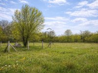 Eladó mezogazdasagi ingatlan, XVII. kerületben 6 M Ft