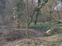 Eladó telek, Zalacsányon 25 M Ft / költözzbe.hu