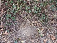 Eladó telek, Zalaegerszegen 4.9 M Ft / költözzbe.hu