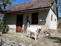 Eladó telek, Gyódon 6.8 M Ft / költözzbe.hu