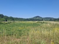 Eladó mezogazdasagi ingatlan, Zánkán 5.9 M Ft
