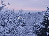 Eladó családi ház, Szentendrén 195 M Ft, 7 szobás